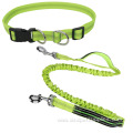 Nylon Dog Leash Material With Pouch Waist Bag